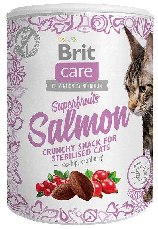 Produkt BRIT BRIT Care Superfruits Salmon - przysmak dla kota - 100 g 045534