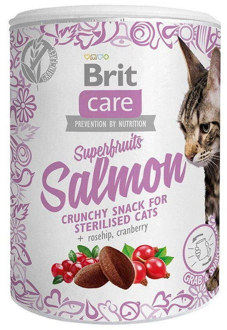 Produkt BRIT BRIT Care Superfruits Salmon - przysmak dla kota - 100 g 045534