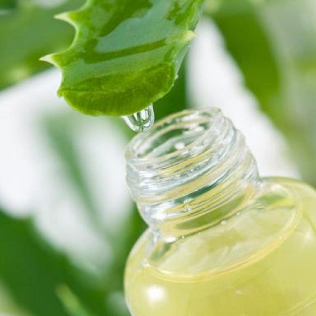 Produkt VITA ALOE Napój aloesowy ALO ALO z cząstkami aloesu 500ml 003382