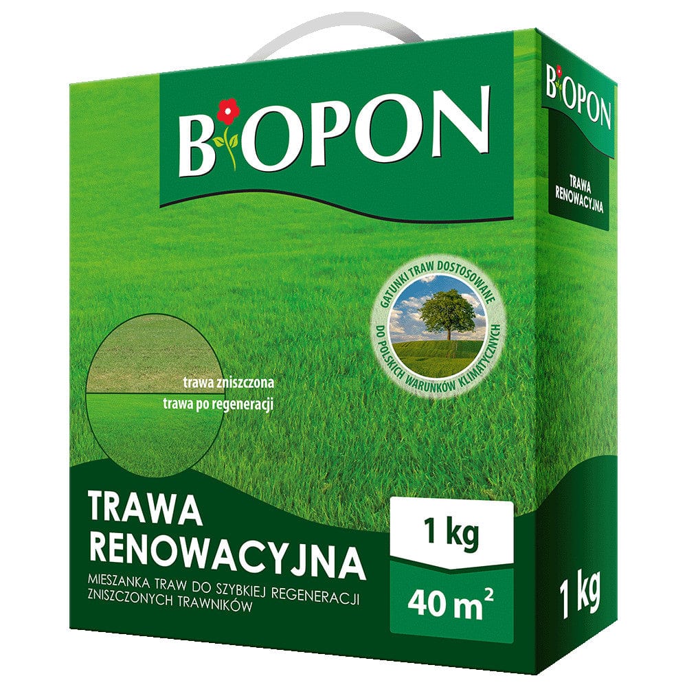 Produkt BIOPON Trawa renowacyjna BIOPON Mieszanka 1 kg 045934