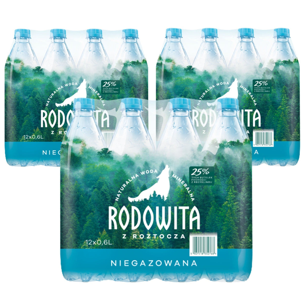 Produkt RODOWITA Woda Woda mineralna RODOWITA z Roztocza niegazowana 36x 0,6 l K_S00125_36